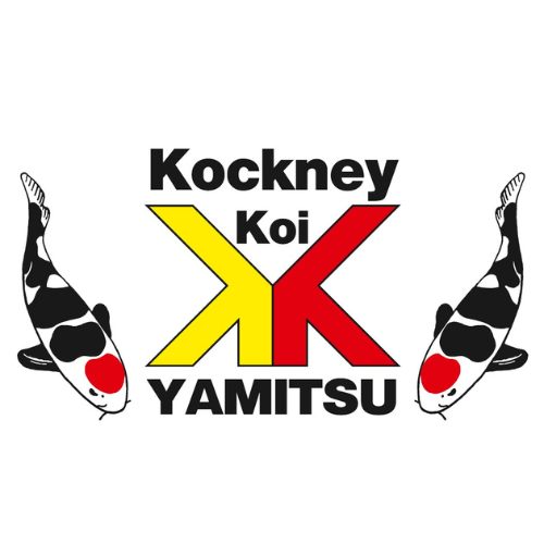 Kockney Koi Yamitsu